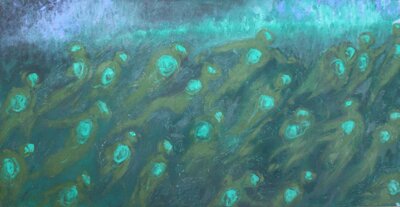 Zelení světlonoši